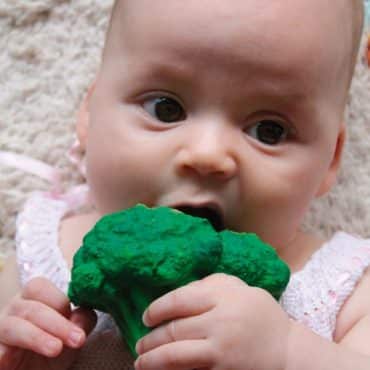 Anneau de dentition Brucy le brocoli