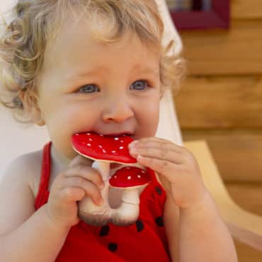 Jouet de dentition Spot le champignon