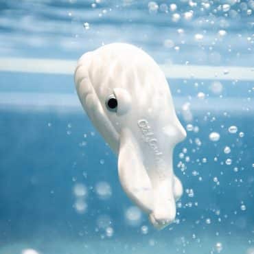 Jouet de bain Walter la baleine